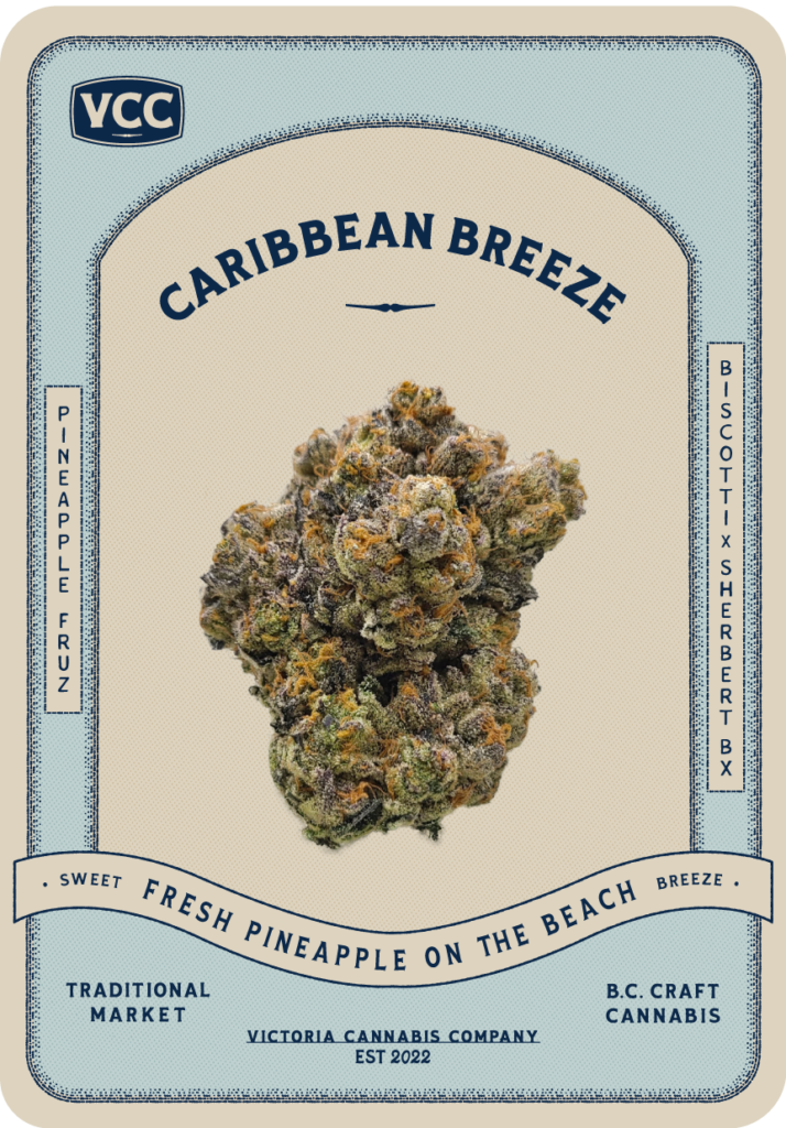 caribbean breeze craft cannabis feature